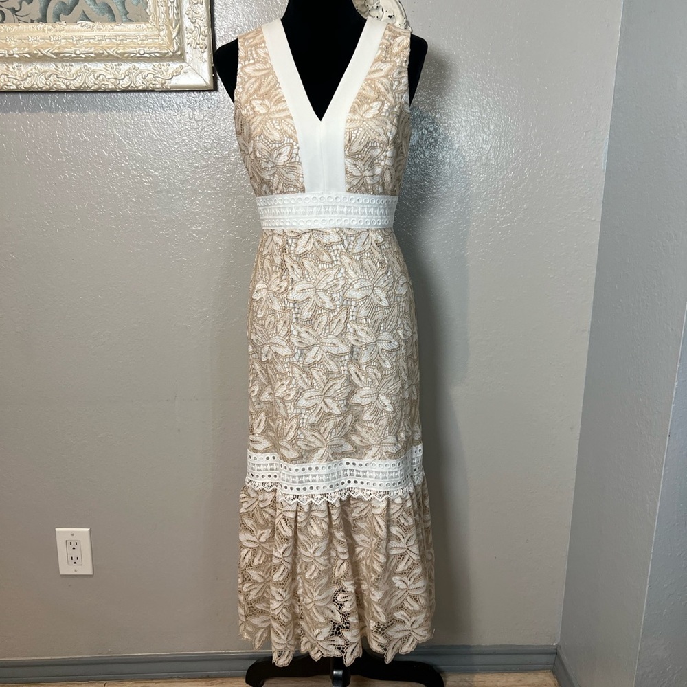 ANTONIO MELANI Beige and White Lace Maxi Dress - Picture 3 of 11